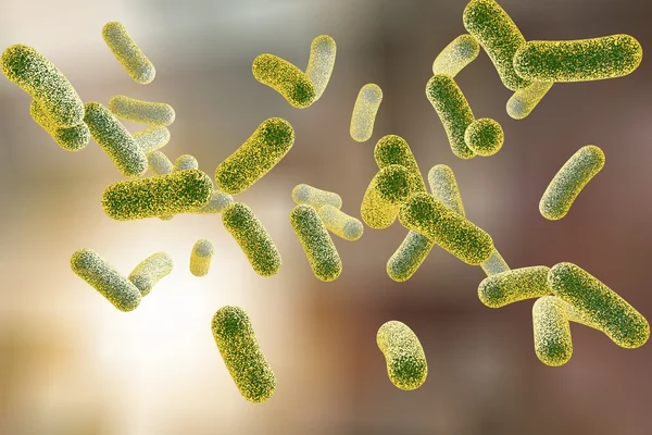 Rod vormige bacteriën — Stockfoto