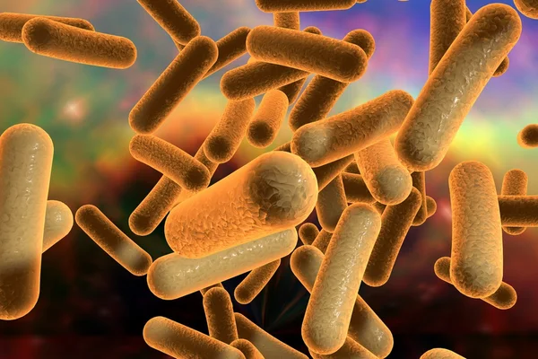 Kształcie pręta, bakterii — Zdjęcie stockowe