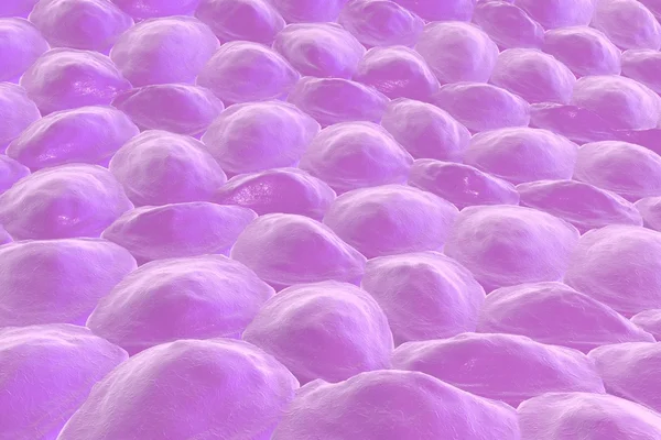 Emberi sejtek rétege — Stock Fotó