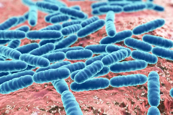 Probiotiska bakterier Lactobacillus — Stockfoto