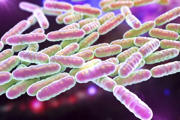 Batteri probiotici Lactobacillus — Foto Stock