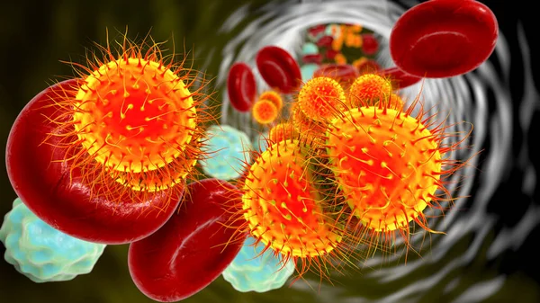 Méningococcémie Dissémination Bactéries Nesseria Meningitidis Méningocoques Dans Circulation Sanguine Illustration — Photo