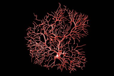 Purkinje neuron, GABAergic neuron located in the cerebellum, isolated on black background, 3D illustration clipart