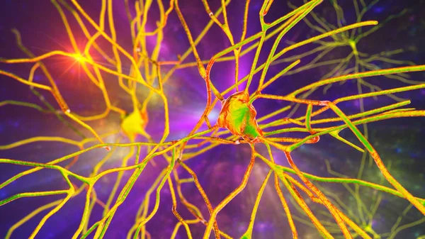 Neuronas Ilustración Que Muestra Las Células Cerebrales Ubicadas Corteza Temporal — Foto de Stock