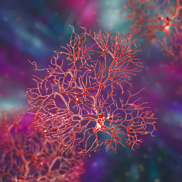 Purkinje Neurônio Neurônio Gabaérgico Localizado Cerebelo Ilustração — Fotografia de Stock