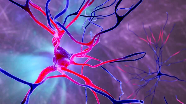 Neurons, 3D illustration showing brain cells located in the precentral gyrus of the frontal cortex of the human brain. They control movements of the contralateral side of the body