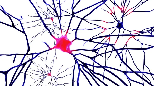 Neuronen Geïsoleerd Witte Achtergrond Illustratie Toont Hersencellen Gelegen Temporale Cortex — Stockfoto