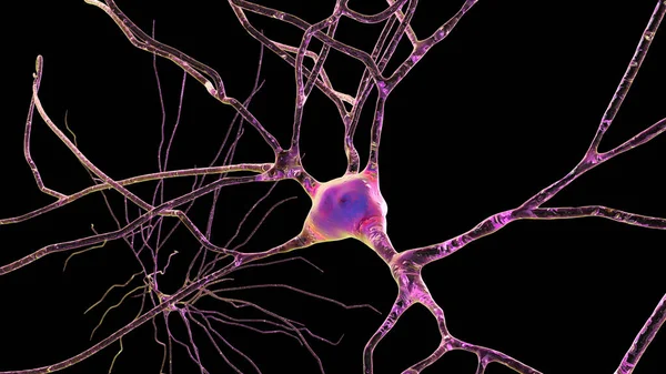 Neuronen Geïsoleerd Zwarte Achtergrond Illustratie Toont Hersencellen Gelegen Temporale Cortex — Stockfoto