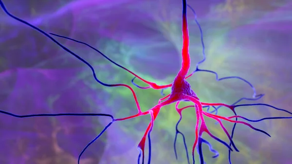 Neuronas Ilustración Que Muestra Las Células Cerebrales Ubicadas Giro Precentral — Foto de Stock