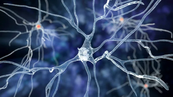 Neurones Illustration Montrant Des Cellules Cérébrales Situées Dans Gyrus Préentral — Photo
