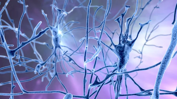 Neurony Mozkové Buňky Umístěné Pórech Varolii Lidského Mozku Ilustrace — Stock fotografie