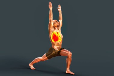 Solunum düzenleme ve nefes alma yogası. Savaşçı 1 'in anatomisi pozu, veya Virabhadrasana 1, 3 boyutlu illüstrasyon. COVID-19 'un kurtarılması ve önlenmesi. Solunum egzersizleri ciğerleri güçlendirir