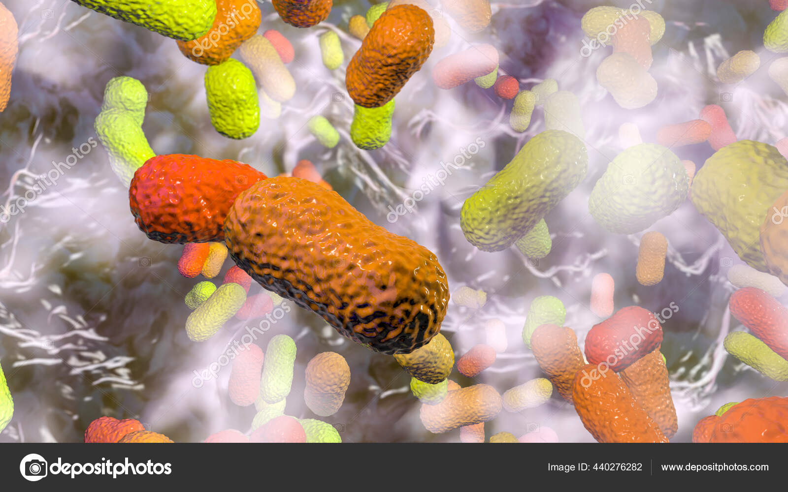 Multidrug Resistant Bacteria Biofilm Bacteria Baumannii