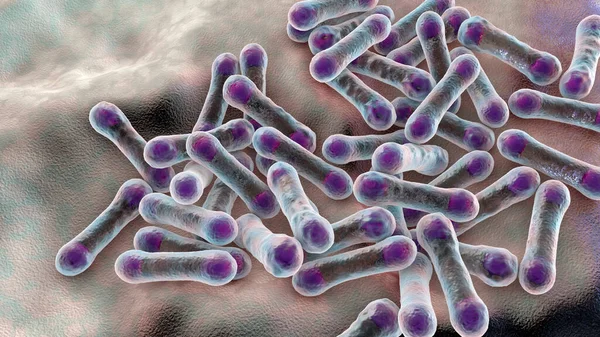 Bacteriën Corynebacterium Diphtheriae Gram Positieve Staafvormige Bacterie Die Luchtweginfectie Difterie — Stockfoto