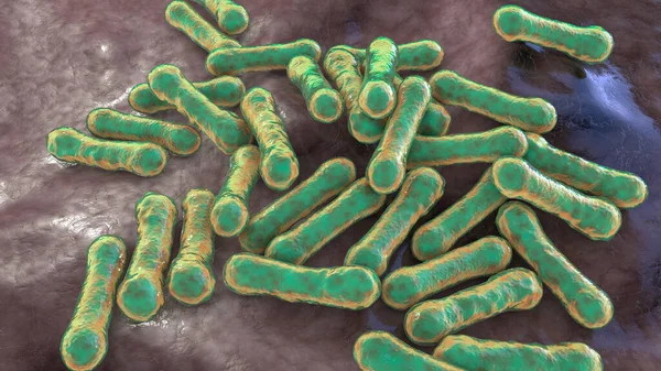 Bacteria Corynebacterium Diphtheriae Gram Positive Rod Shaped Bacterium Causes Respiratory — ストック写真