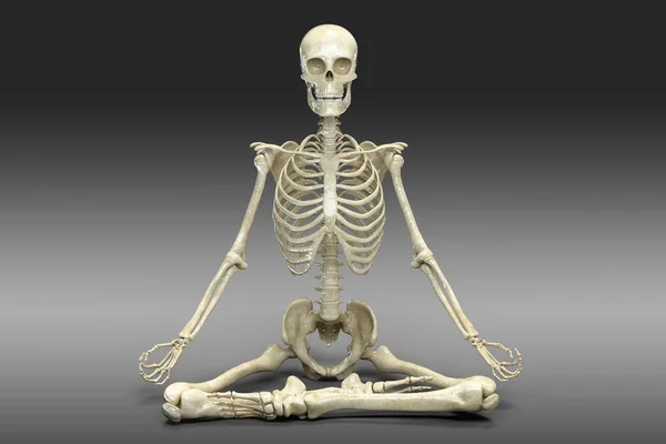 Скелет Позиції Лотосової Йоги Або Падмасани Ілюстрація Показує Скелетну Активність — стокове фото