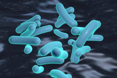 Vibrio kolerae bakterisi, 3 boyutlu illüstrasyon. Koleraya neden olan bakteri.