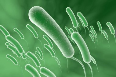 Vibrio kolerae bakterisi, 3 boyutlu illüstrasyon. Koleraya neden olan bakteri.