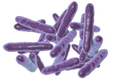 Tropheryma whipplei bacteria, the causative organism of Whipple's disease, 3D illustration clipart