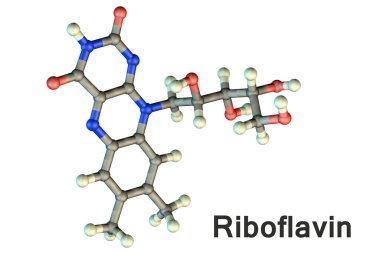 Riboflavin 'in moleküler modeli, B2 vitamini, 3 boyutlu illüstrasyon. Suda çözünen bir vitaminin, insan sağlığını korumak için önemli bir işlevi vardır.