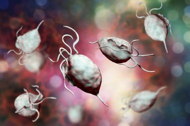 Trikomonas vaginalis protozoa, 3 boyutlu illüstrasyon. Trikomoneze neden olan bir parazit, kadın ve erkeklerde cinsel yolla bulaşan enfeksiyon.