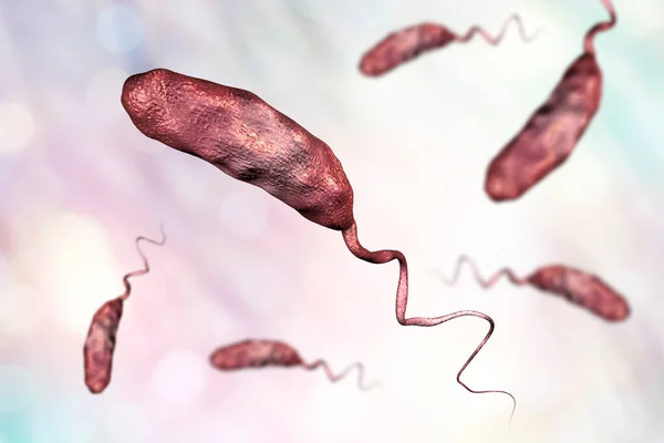 Bactéria Vibrio Cholerae Ilustração Bactéria Causadora Cólera — Fotografia de Stock