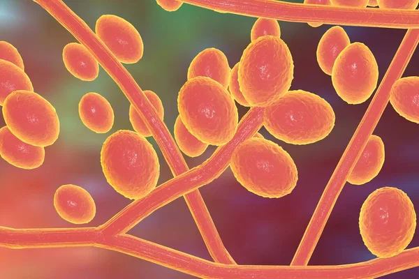 Onlayn kino jinsiy aloqa ombori