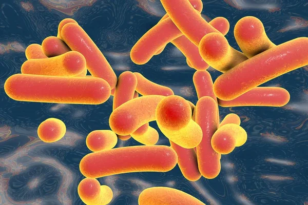 Bakterium Vibrio Cholerae Illustration Bakterium Das Cholera Verursacht — Stockfoto