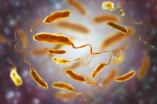 Vibrio Kolerae Bakterisi Boyutlu Illüstrasyon Kolera Hastalığına Neden Olan Kirlenmiş — Stok fotoğraf