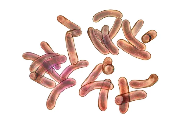 Vibrio Cholerae Bakterier Isolerad Vit Bakgrund Med Klippbana Illustration Bakterium — Stockfoto