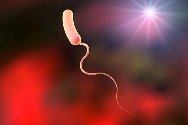 Vibrio Cholerae Bacterium Ilustración Bacterias Que Causan Cólera — Foto de Stock