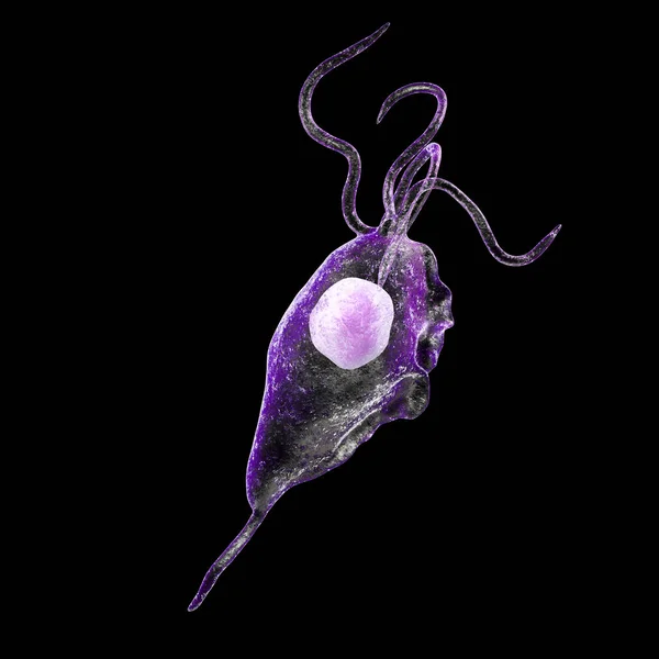 Trichomonas Vaginalis Protozoan Isolerad Svart Bakgrund Illustration Parasit Som Orsakar — Stockfoto