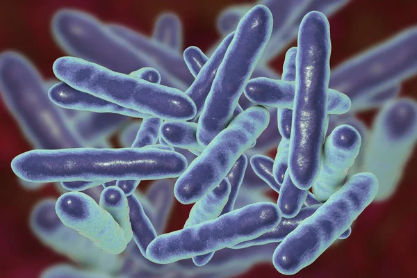 Бактерии Троферимы Уиппли Причинно Следственный Организм Болезни Уиппла Иллюстрация — стоковое фото