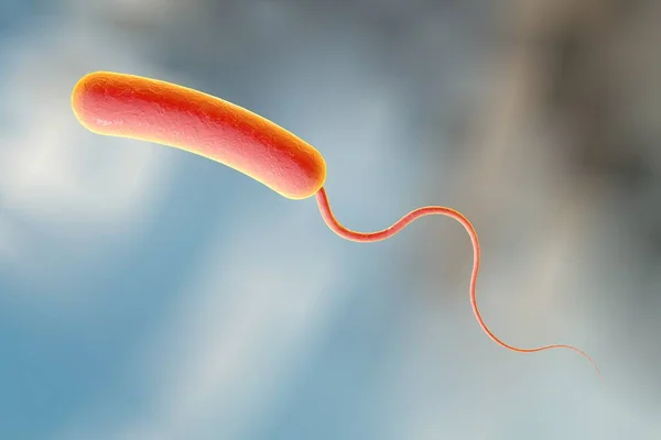 Vibrio Cholerae Bacterie Illustratie Bacterium Dat Cholera Veroorzaakt — Stockfoto
