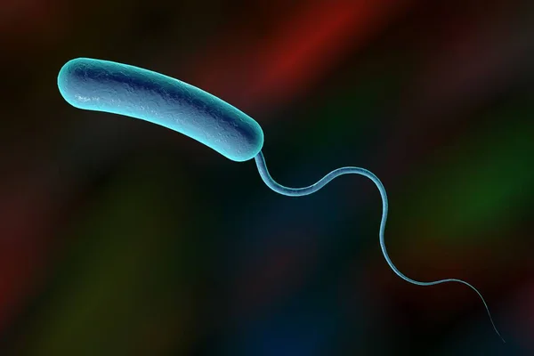 Vibrio Colerae細菌 3Dイラスト コレラを引き起こす細菌 — ストック写真