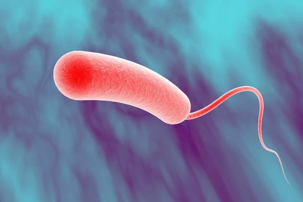 Vibrio Cholerae Bacterium Ilustración Bacterias Que Causan Cólera — Foto de Stock