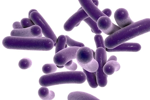 Vibrio Cholerae Bacterie Illustratie Bacterium Dat Cholera Veroorzaakt — Stockfoto