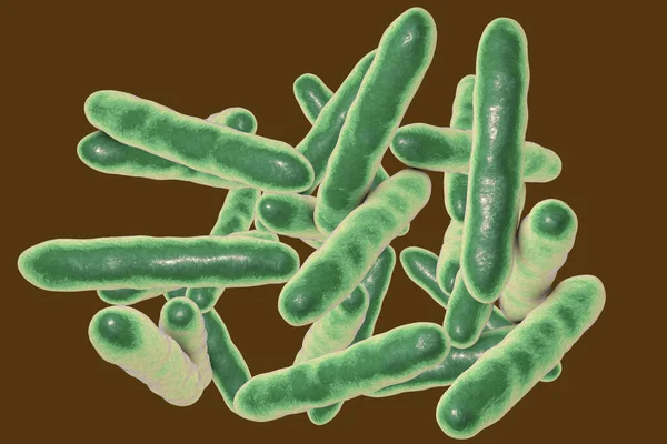 Tropheryma Whipplei Bakterisi Whipple Hastalığının Nedensel Organizması Boyutlu Illüstrasyon — Stok fotoğraf