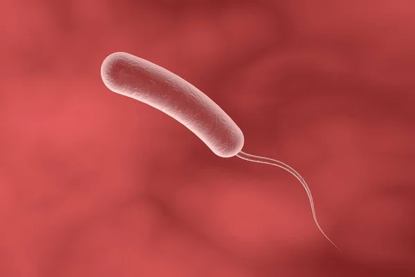 Vibrio Cholerae Bacterium Ilustración Bacterias Que Causan Cólera — Foto de Stock