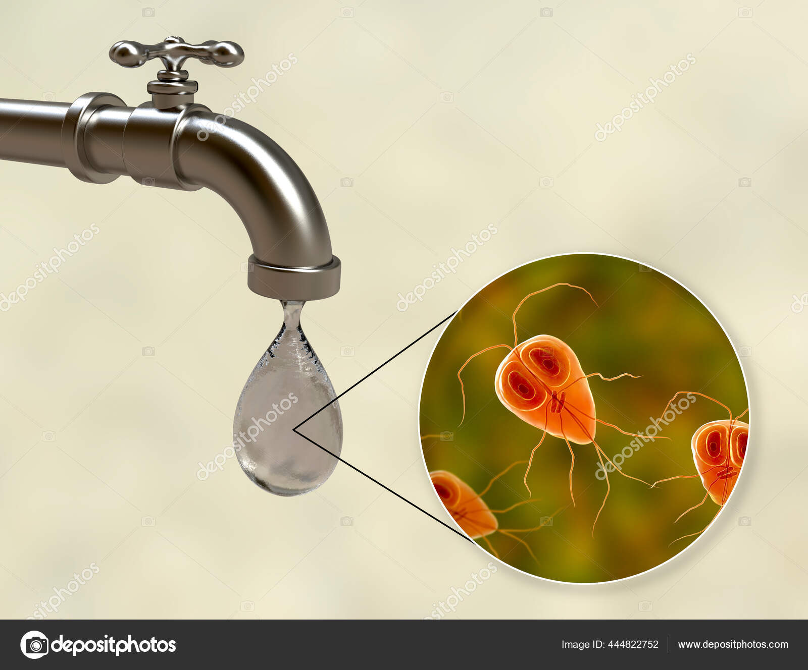 Giardia In Stool