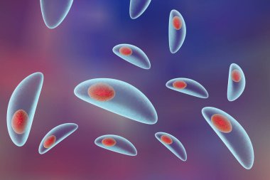 Toxoplasma gondii on colorful background. Protozoan which is transmitted from cats and other animals and causes toxoplasmosis especially dangerous for pregnant women. 3D illustration clipart