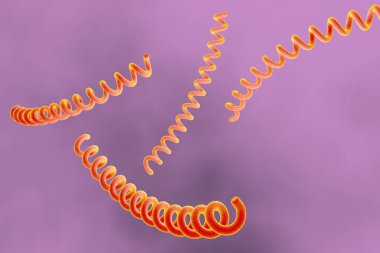 Renkli arka planda Treponema pallidum, frengiye neden olan bakteri, cinsel yolla bulaşan bakteri, yakın görüş. 3B illüstrasyon