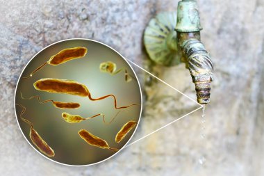 İçme suyu konseptinin güvenliği, kolera hastalığının nedeni olan Vibrio kolerae bakterisini gösteren 3D illüstrasyon, içme suyunu kirletme