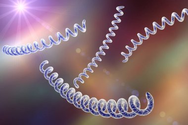 Renkli arka planda Treponema pallidum, frengiye neden olan bakteri, cinsel yolla bulaşan bakteri, yakın görüş. 3B illüstrasyon