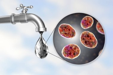 İçme suyu konsepti, Giardia intestinalis protozoan kistlerini gösteren 3 boyutlu illüstrasyon, giardiyasın ve ishalin nedeni, içme suyunu kirletme