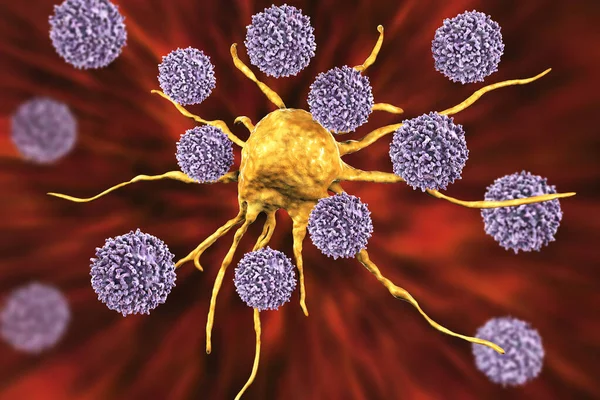Linfocitos Atacando Células Cancerosas Ilustración Concepto Inmunidad Tratamiento Contra Cáncer — Foto de Stock
