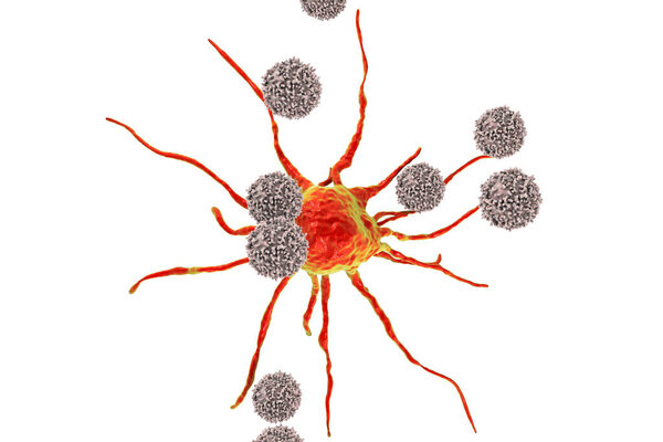 T-lymphocytes attacking cancer cell, 3D illustration isolated on white background with clipping path. Anticancer immunity and treatment concept