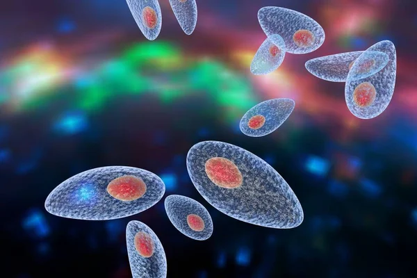 Toxoplasma Gondii Πολύχρωμο Φόντο Protozoan Οποία Μεταδίδεται Από Γάτες Και — Φωτογραφία Αρχείου