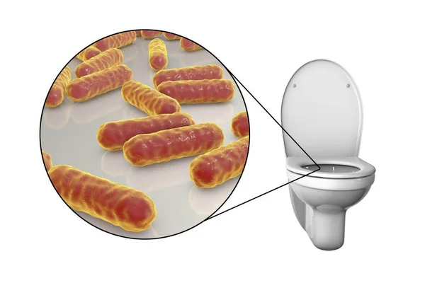 Microbios Inodoro Ilustración Conceptual Transmisión Infecciones Diarreicas Vista Cerca Las — Foto de Stock