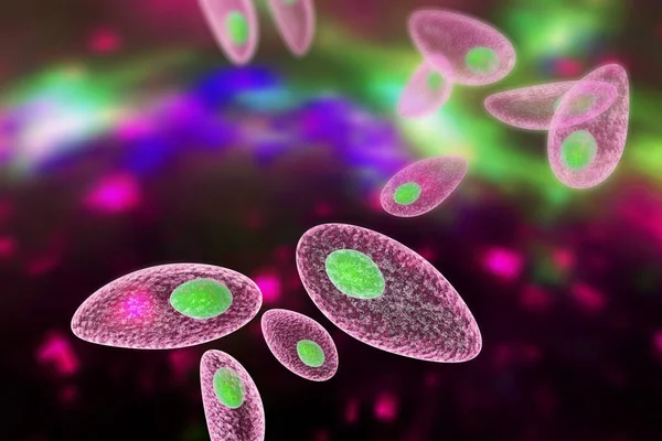Toxoplasma Gondii Kleurrijke Achtergrond Protozoë Dat Wordt Overgedragen Van Katten — Stockfoto